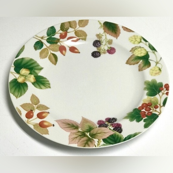 Rare Vintage Apollo Porcelain ENGLISH COUNTRY FRUIT Nancy Calhoun Dinner Plate - Picture 3 of 10